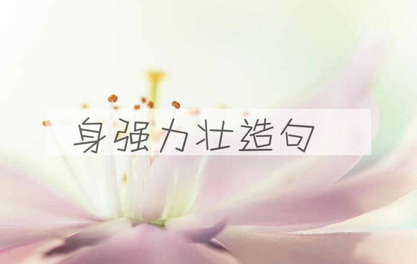 用身强力壮造句