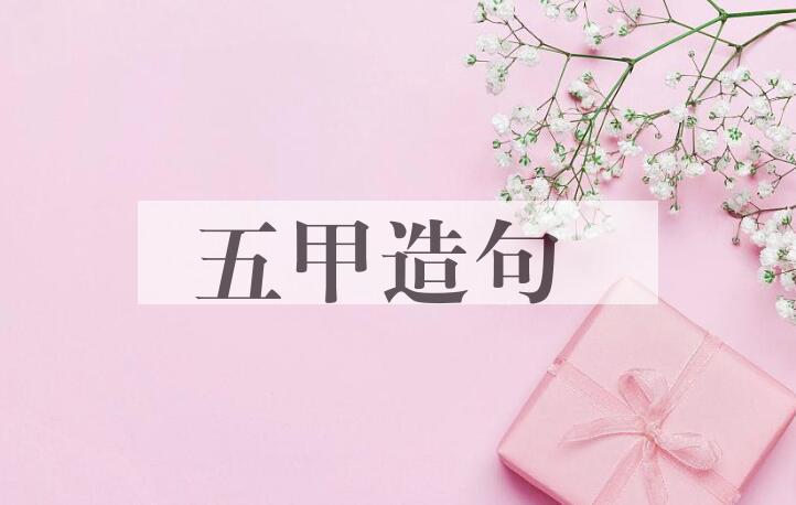 用五甲造句