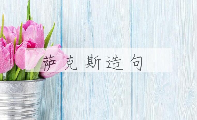 用萨克斯造句