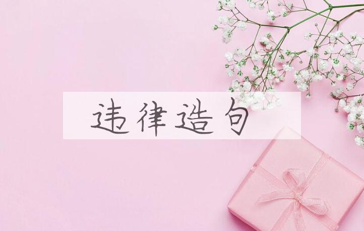 用违律造句