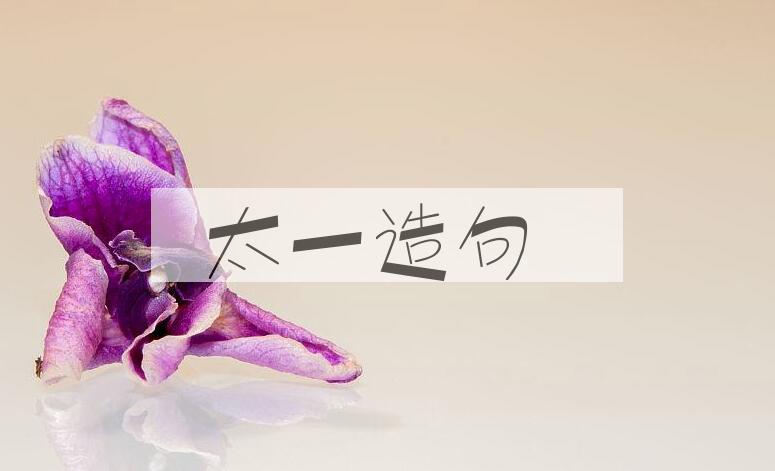 用太一造句