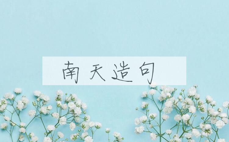 用南天造句