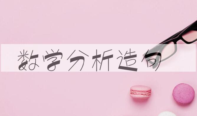 用数学分析造句