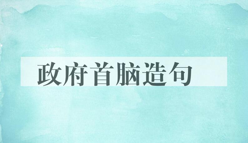 用政府首脑造句