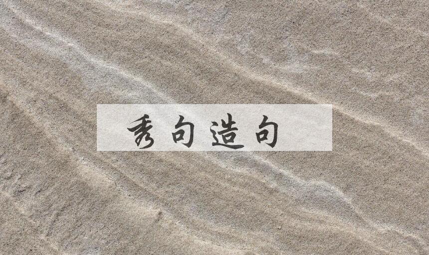 用秀句造句