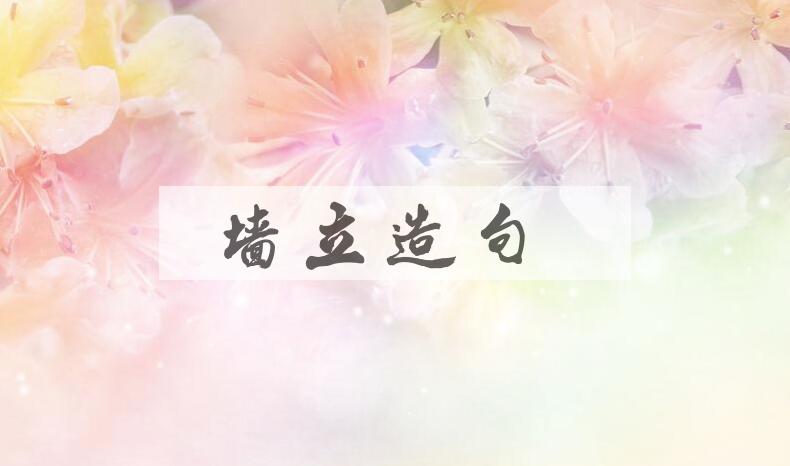 用墙立造句