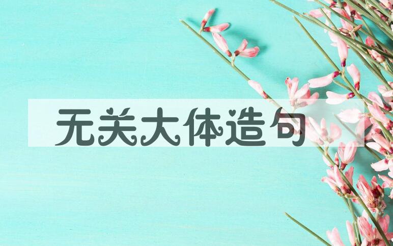 用无关大体造句