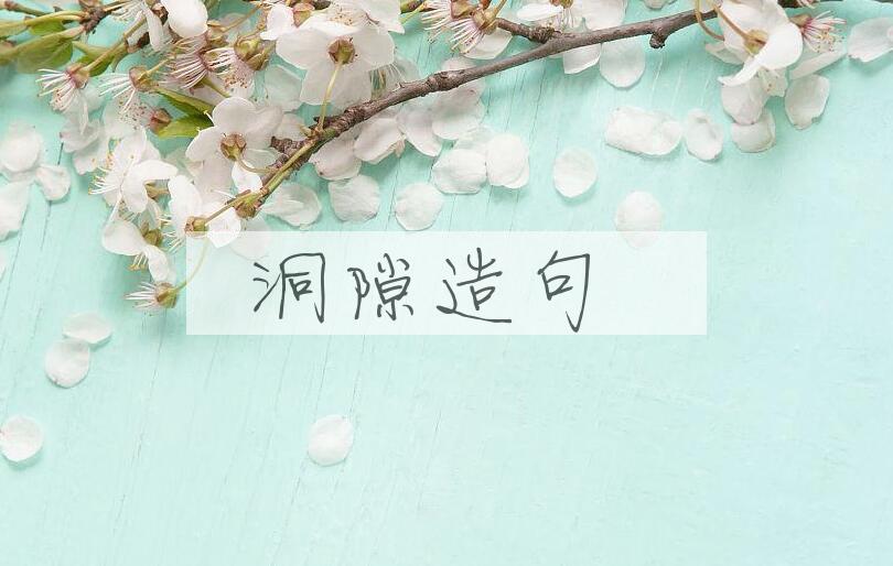 用洞隙造句