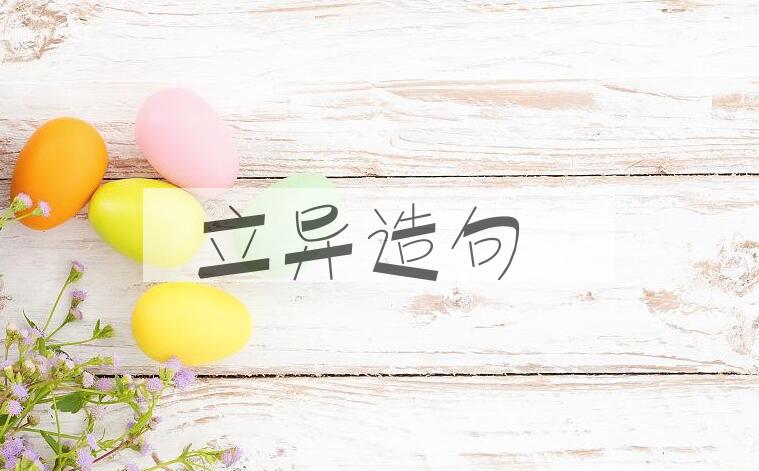 用立异造句
