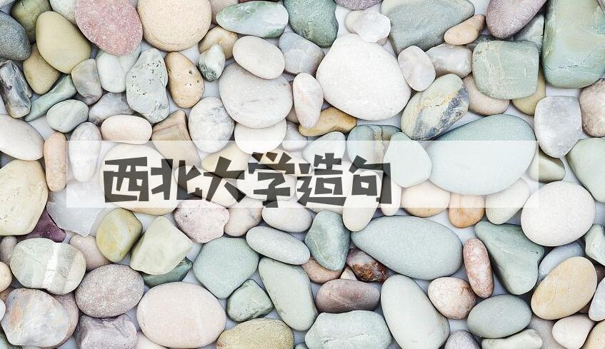 用西北大学造句