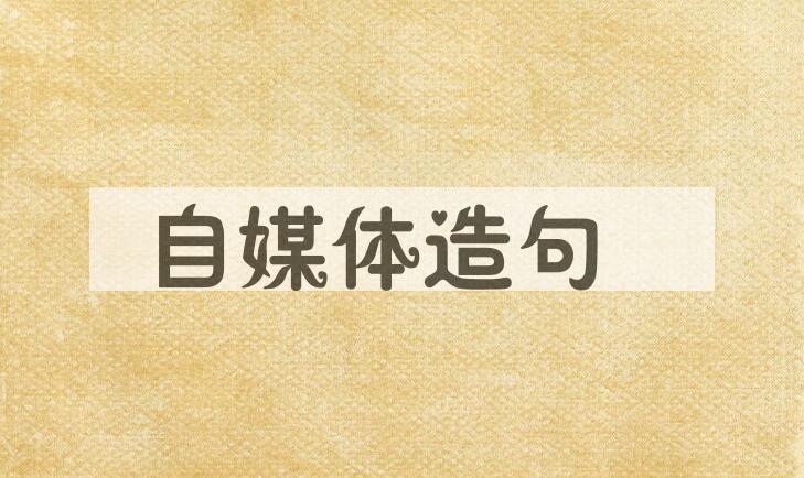 用自媒体造句