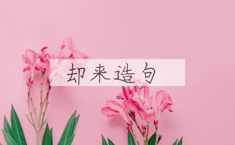用却来造句