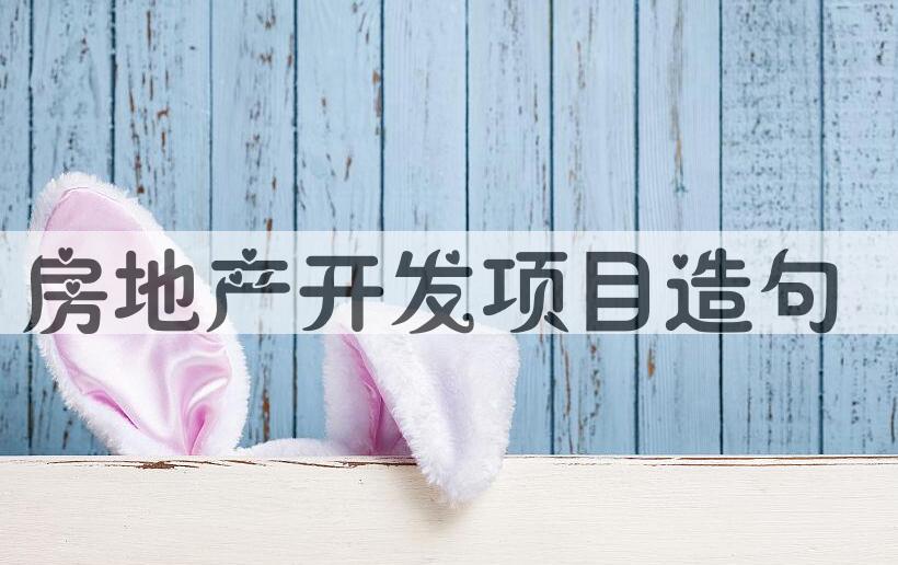 用房地产开发项目造句