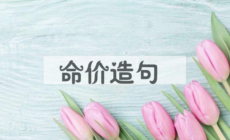 用命价造句
