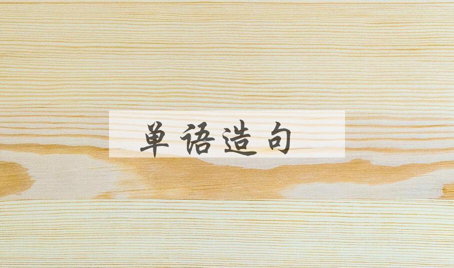 用单语造句