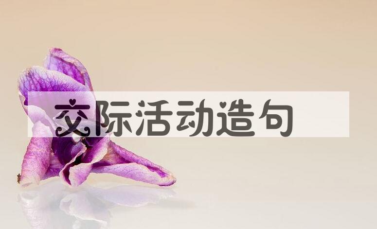 用交际活动造句