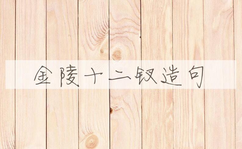 用金陵十二钗造句