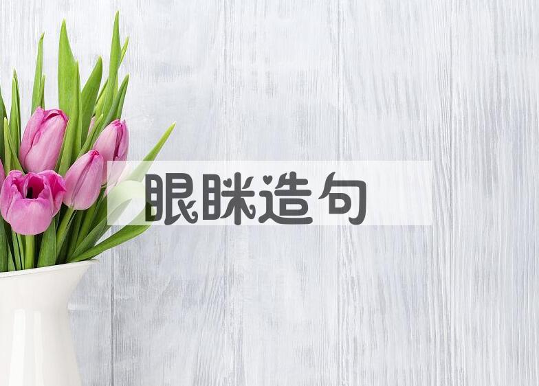 用眼眯造句