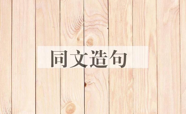 用同文造句