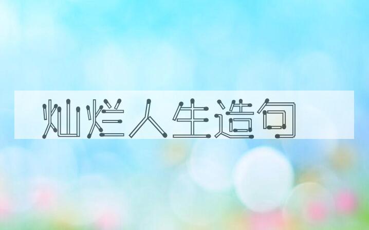 用灿烂人生造句
