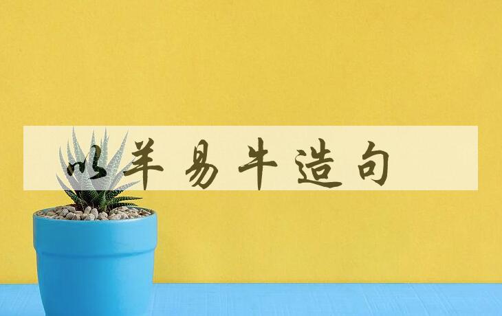 用以羊易牛造句