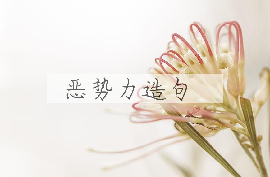 用恶势力造句