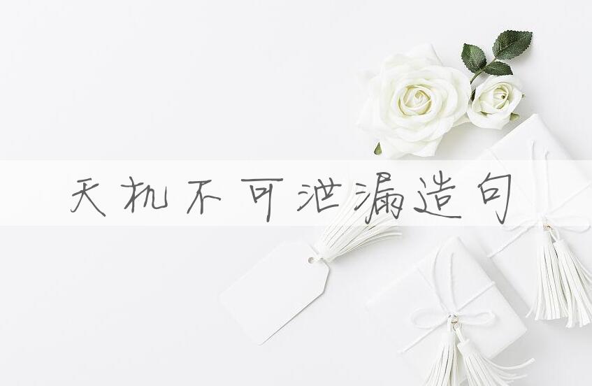 用天机不可泄漏造句