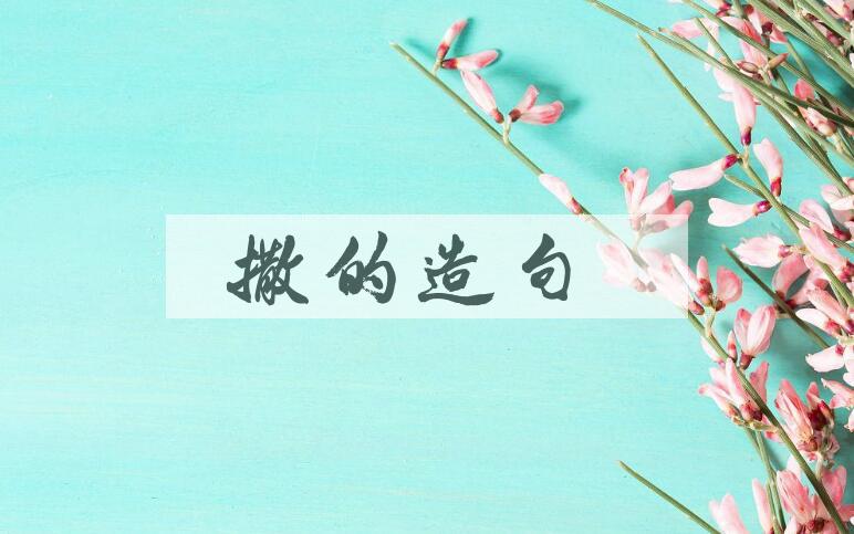 用撒的造句