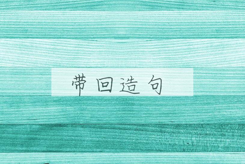 用带回造句