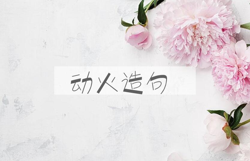 用动火造句