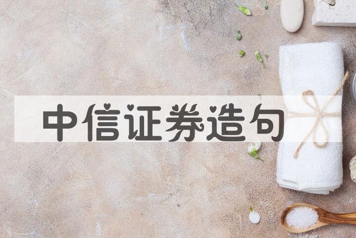 用中信证券造句