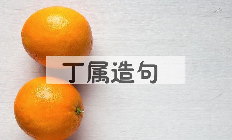 用丁属造句