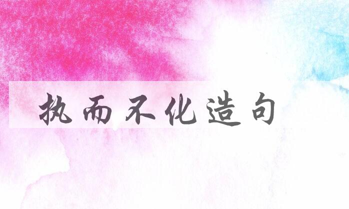 用执而不化造句