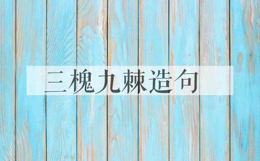 用三槐九棘造句