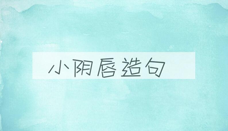用小阴唇造句