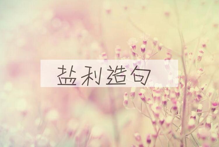 用盐利造句