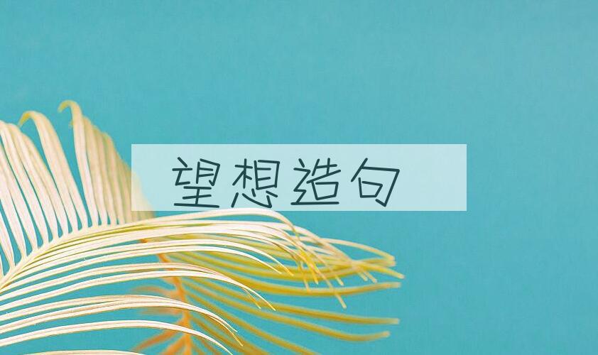 用望想造句