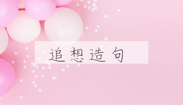 用追想造句