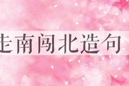 用走南闯北造句