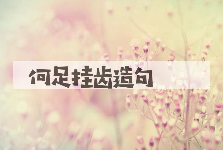 用何足挂齿造句