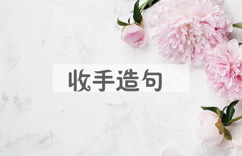 用收手造句
