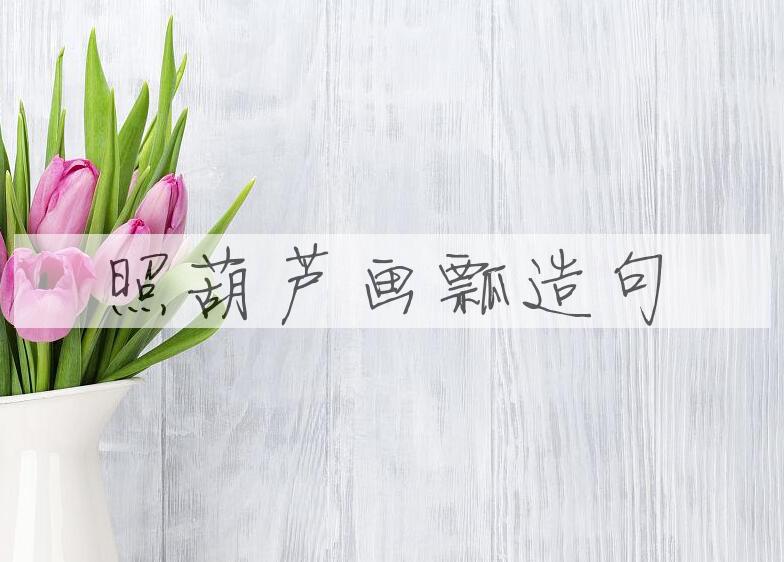 用照葫芦画瓢造句