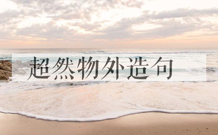 用超然物外造句