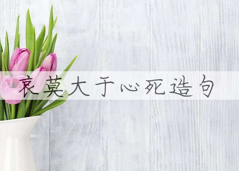 用哀莫大于心死造句