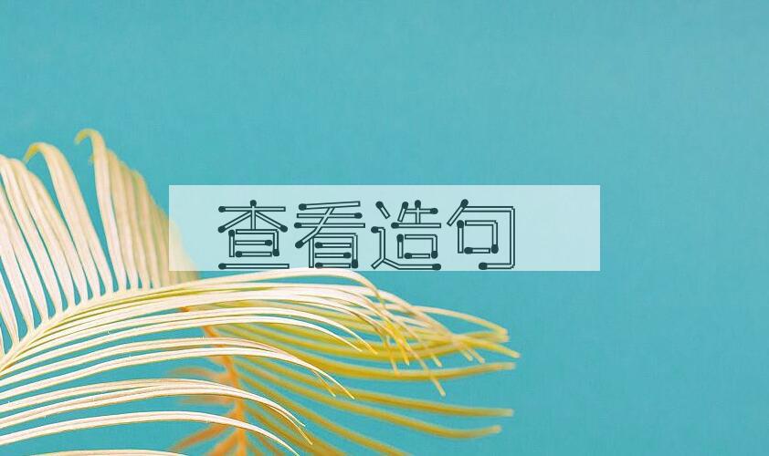 用查看造句