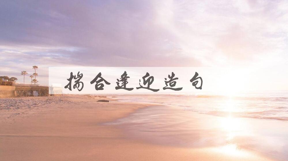用揣合逢迎造句
