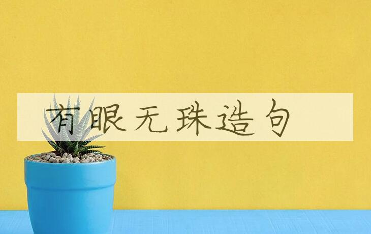 用有眼无珠造句