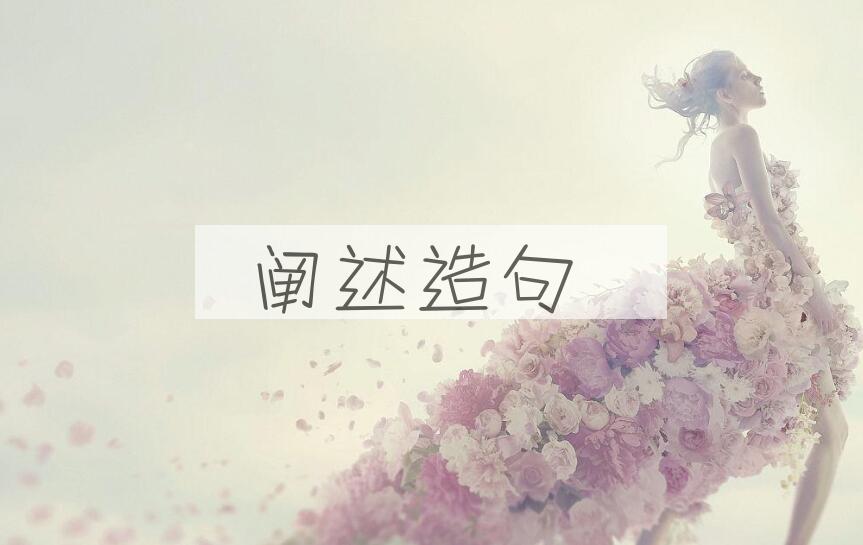 用阐述造句