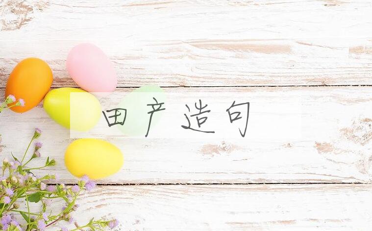 用田产造句