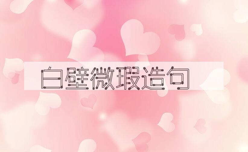 用白壁微瑕造句
